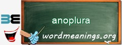 WordMeaning blackboard for anoplura